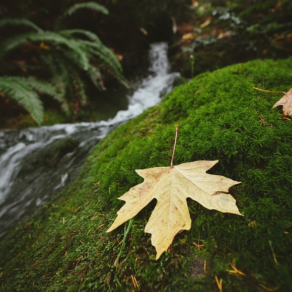 Là où l'élégance rencontre l'art 💎 - Picture 3 of 3